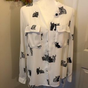 Zara Basic Collection Blouse